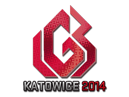 LGB eSports (Holo) Katowice 2014
