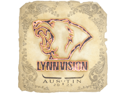 Lynn Vision Austin 2025