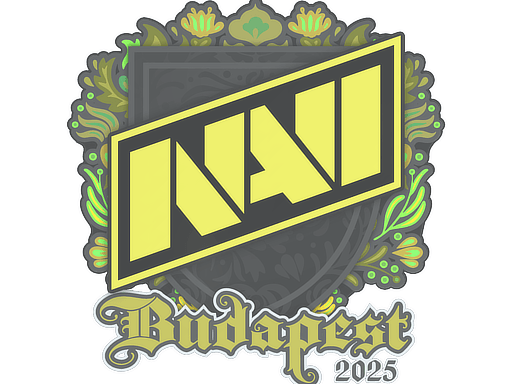 Natus Vincere Budapest 2025