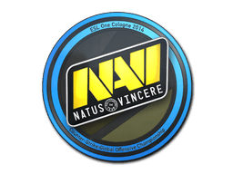 Natus Vincere Cologne 2014
