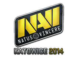 Natus Vincere Katowice 2014