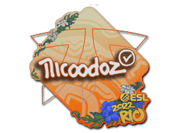 nicoodoz Rio 2022