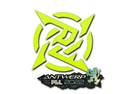 Ninjas in Pyjamas Antwerp 2022