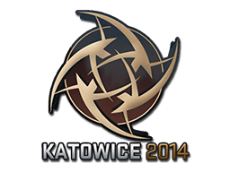 Ninjas in Pyjamas Katowice 2014