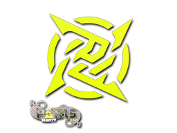 Ninjas in Pyjamas Paris 2023