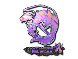 Outsiders (Holo) Antwerp 2022