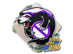 Outsiders Rio 2022
