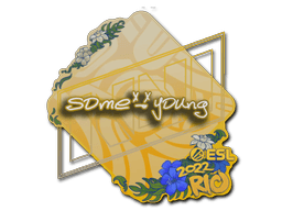 sdy Rio 2022