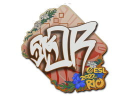sk0R Rio 2022
