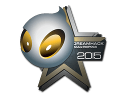 Team Dignitas Cluj-Napoca 2015