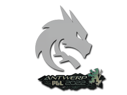 Team Spirit Antwerp 2022