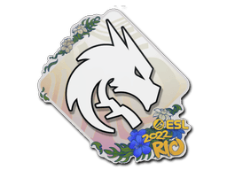 Team Spirit Rio 2022