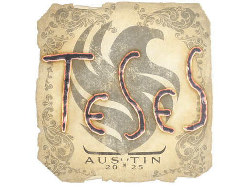 TeSeS Austin 2025
