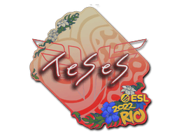 TeSeS Rio 2022