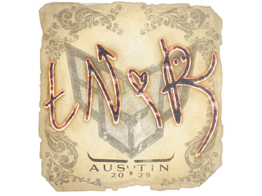 tN1R Stickers