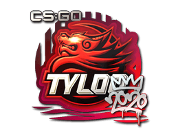 TYLOO 2020 RMR