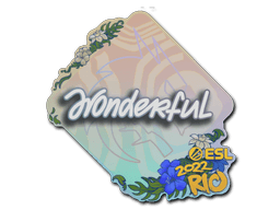 w0nderful Rio 2022