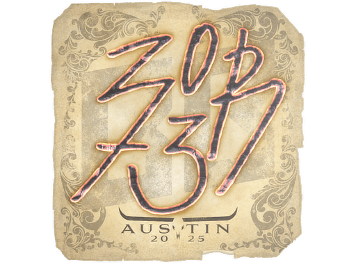 zorte Austin 2025